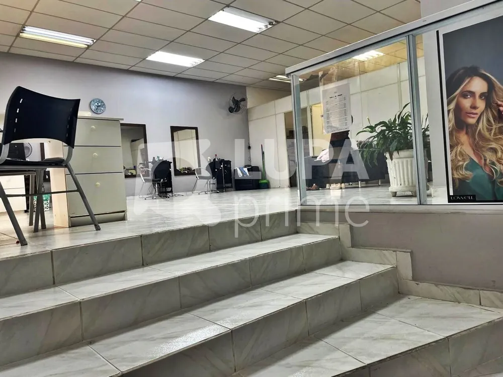 Casa, 4 quartos, 314 m² - Foto 2