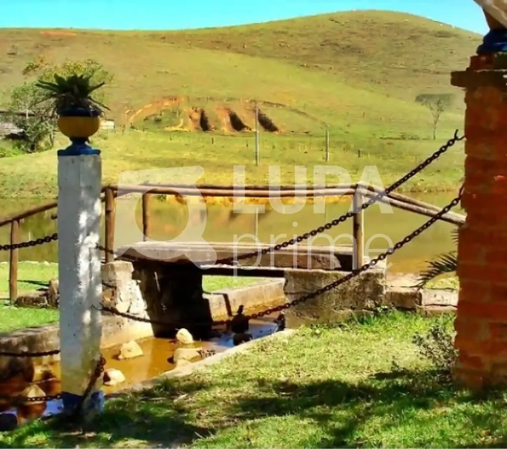 Fazenda, 133 hectares - Foto 10