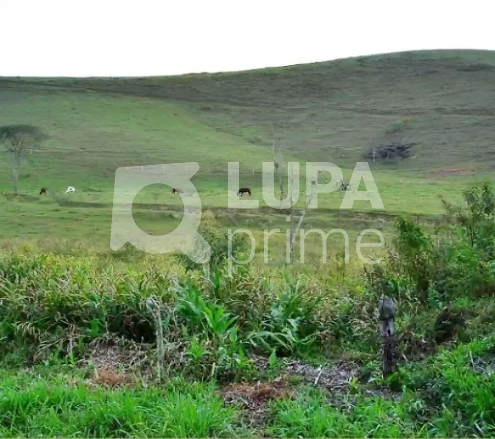 Fazenda, 133 hectares - Foto 6