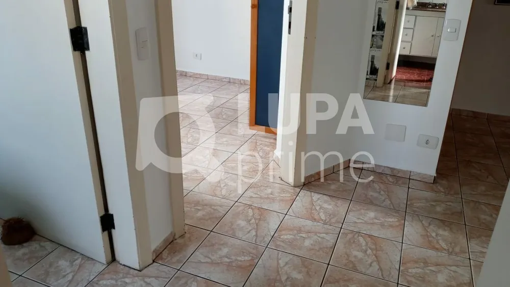 Apartamento, 4 quartos, 233 m² - Foto 14
