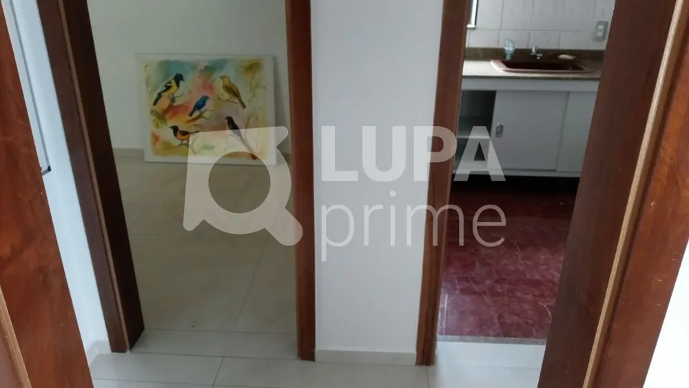 Apartamento, 4 quartos, 233 m² - Foto 13