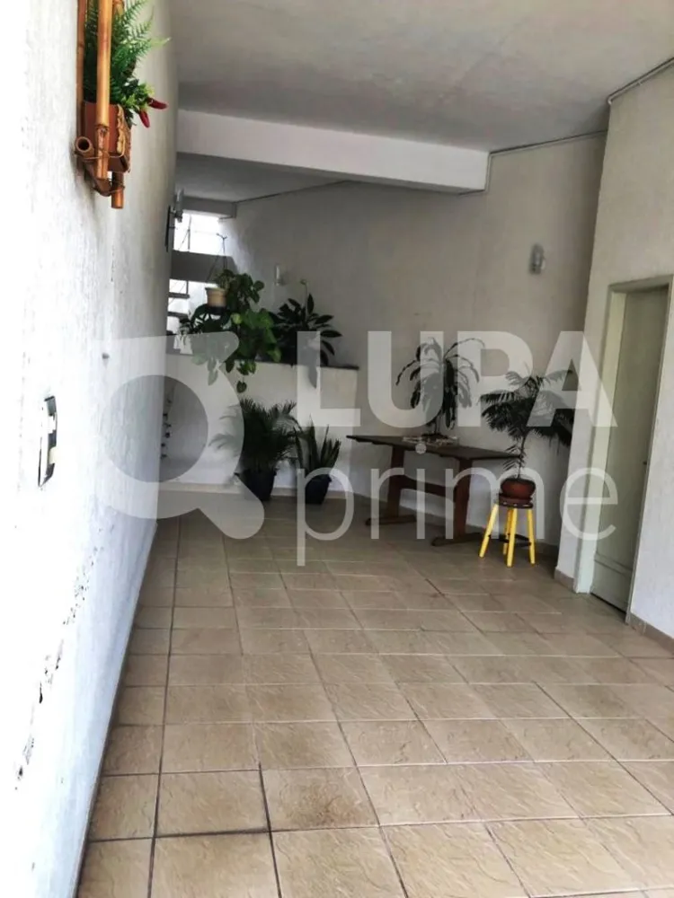 Casa, 7 quartos, 240 m² - Foto 5
