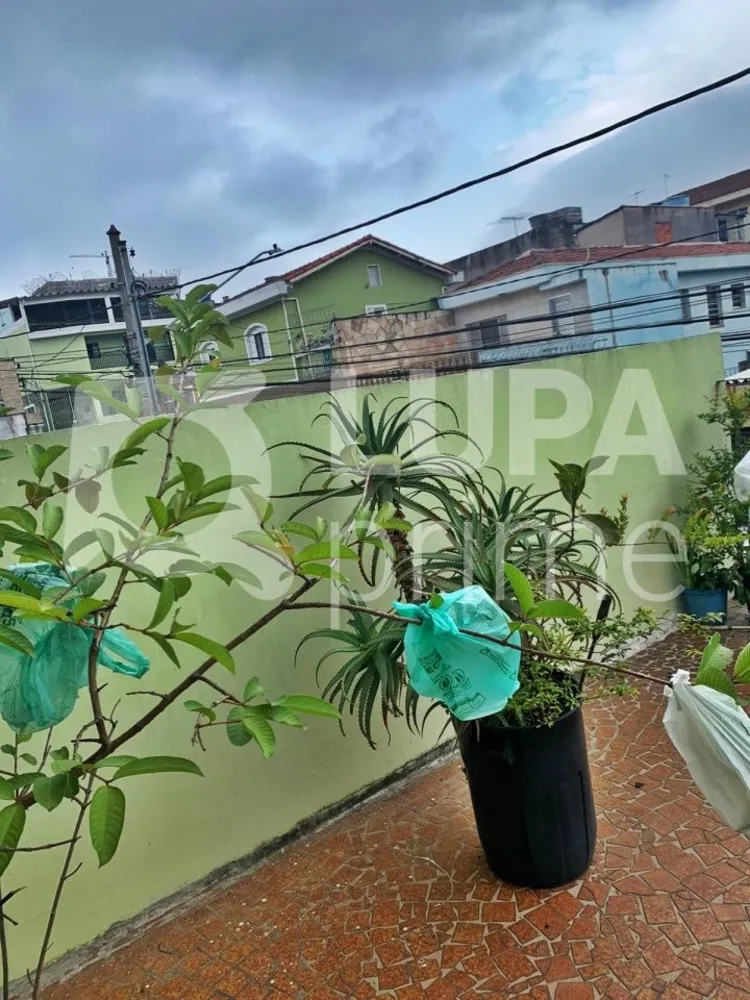Casa, 3 quartos, 165 m² - Foto 9