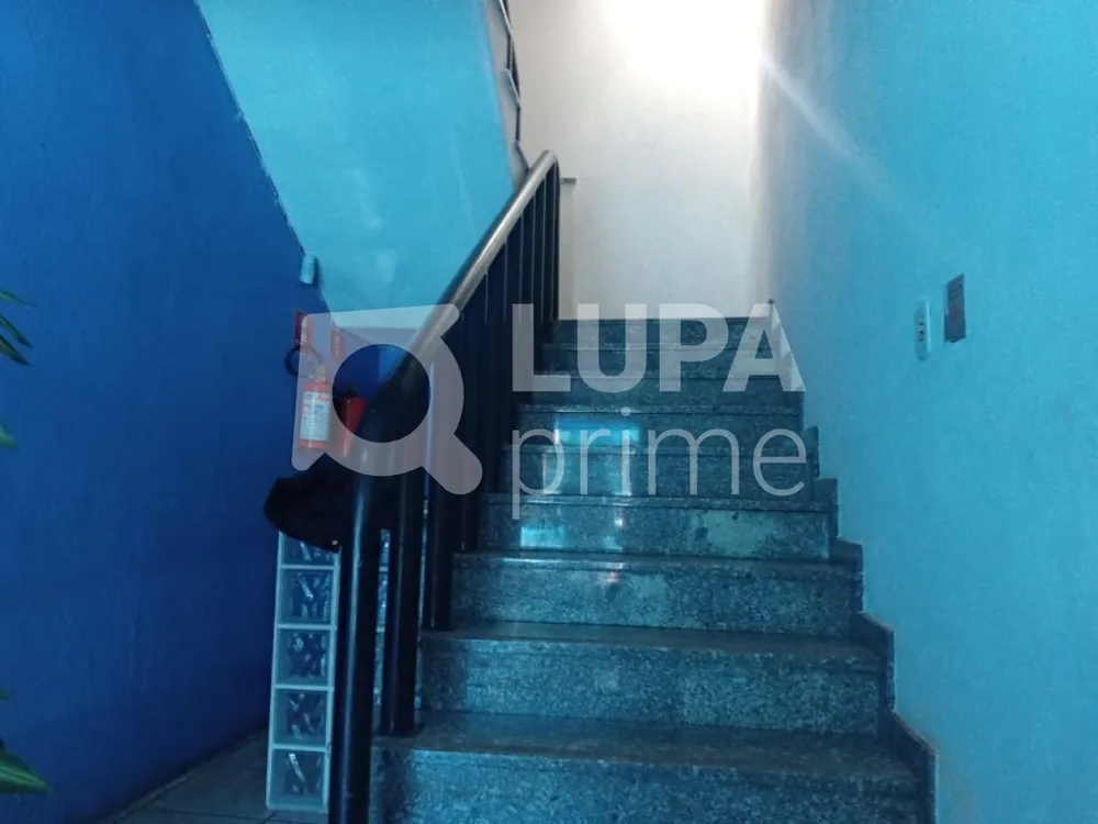 Sala-Conjunto, 175 m² - Foto 4