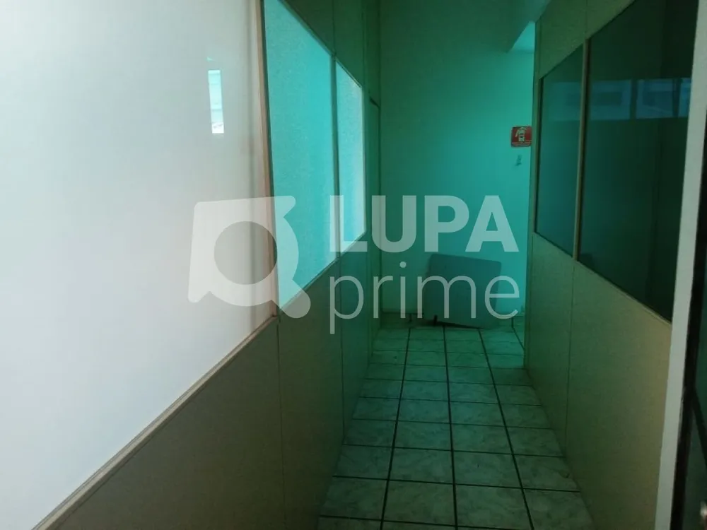 Sala-Conjunto, 175 m² - Foto 7