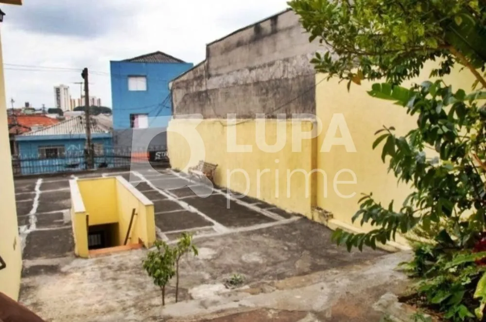 Casa, 4 quartos, 214 m² - Foto 5