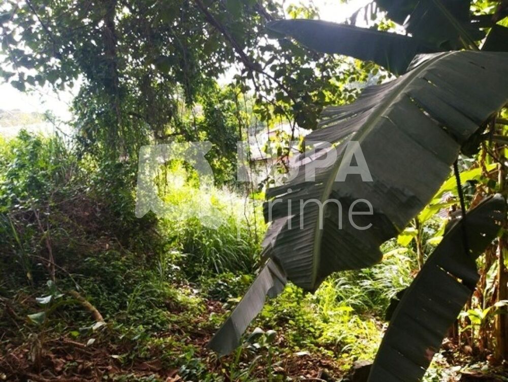 Terreno, 1080 m² - Foto 8