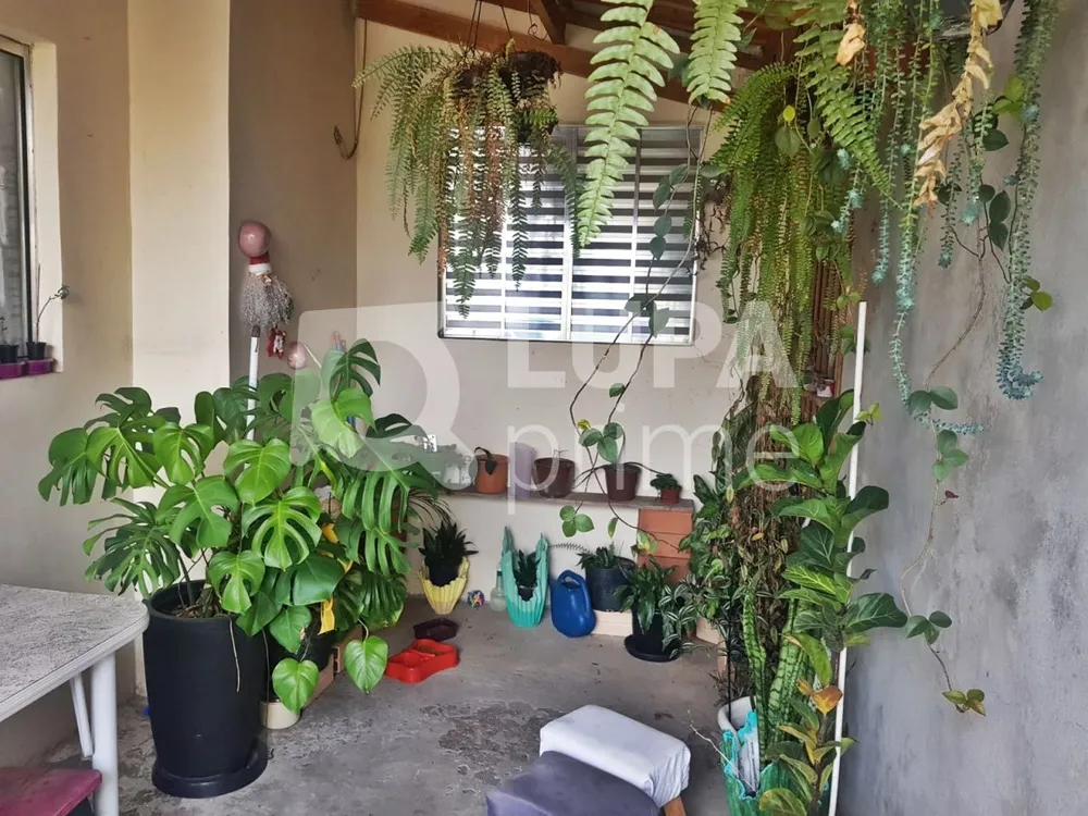 Casa, 5 quartos, 70 m² - Foto 7