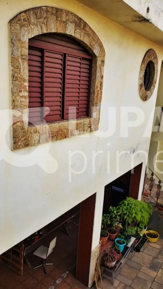 Casa, 4 quartos, 309 m² - Foto 6