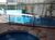Apartamento, 3 quartos, 290 m² - Foto 4