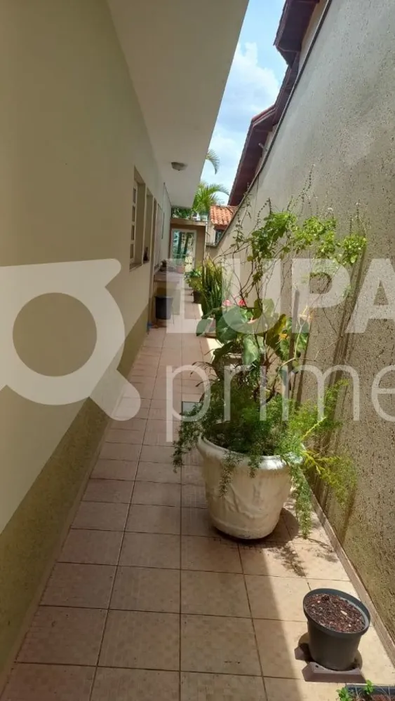 Casa, 3 quartos, 318 m² - Foto 6