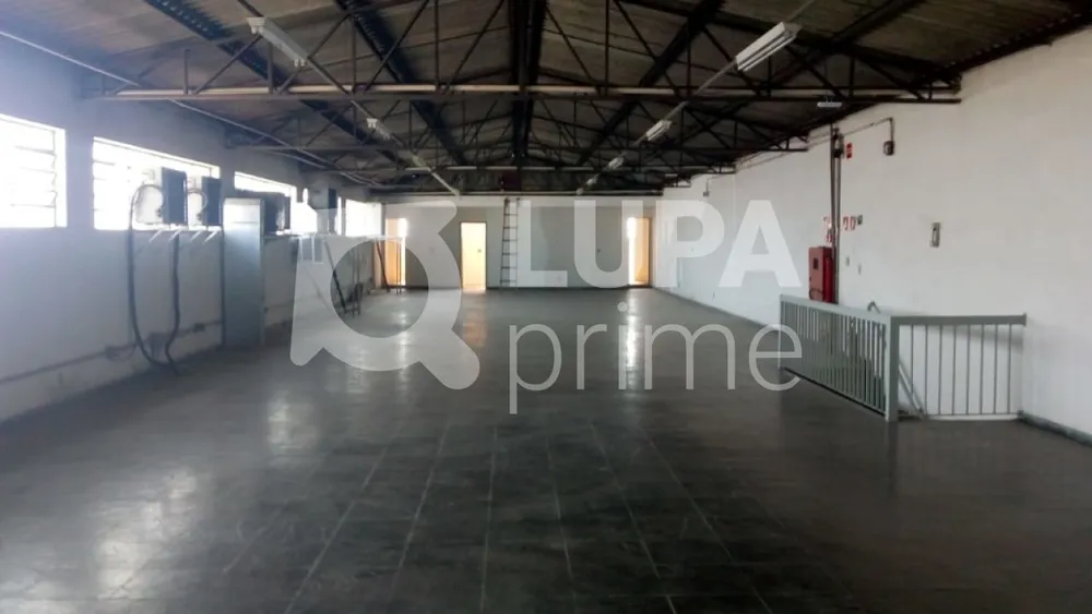 Loja-Salão, 330 m² - Foto 4