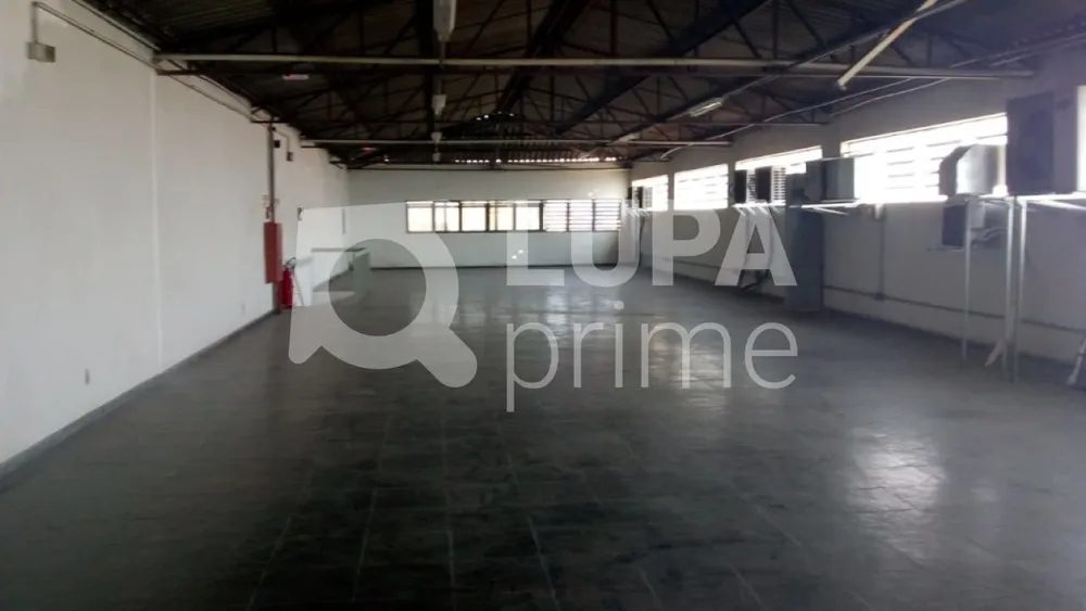 Loja-Salão, 330 m² - Foto 3