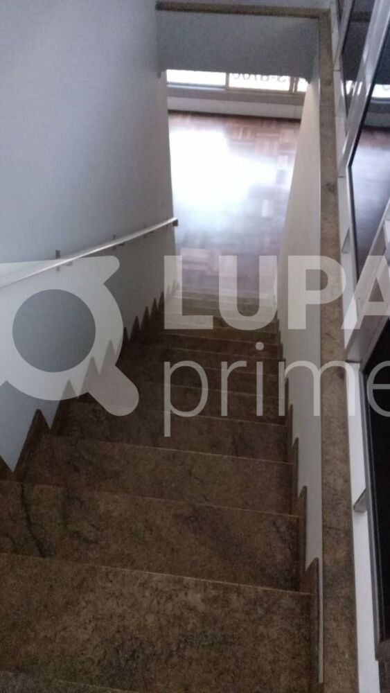 Casa, 3 quartos, 300 m² - Foto 14