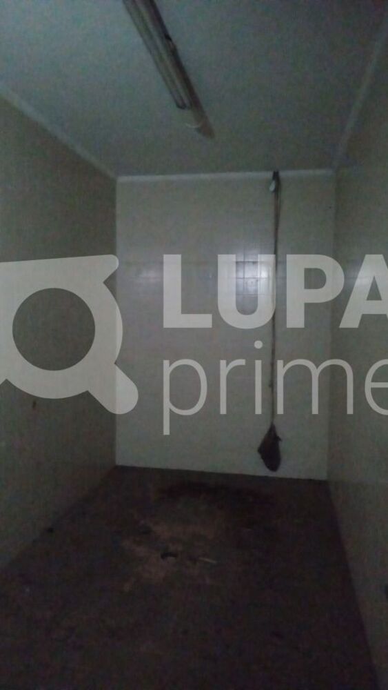Casa, 3 quartos, 300 m² - Foto 19