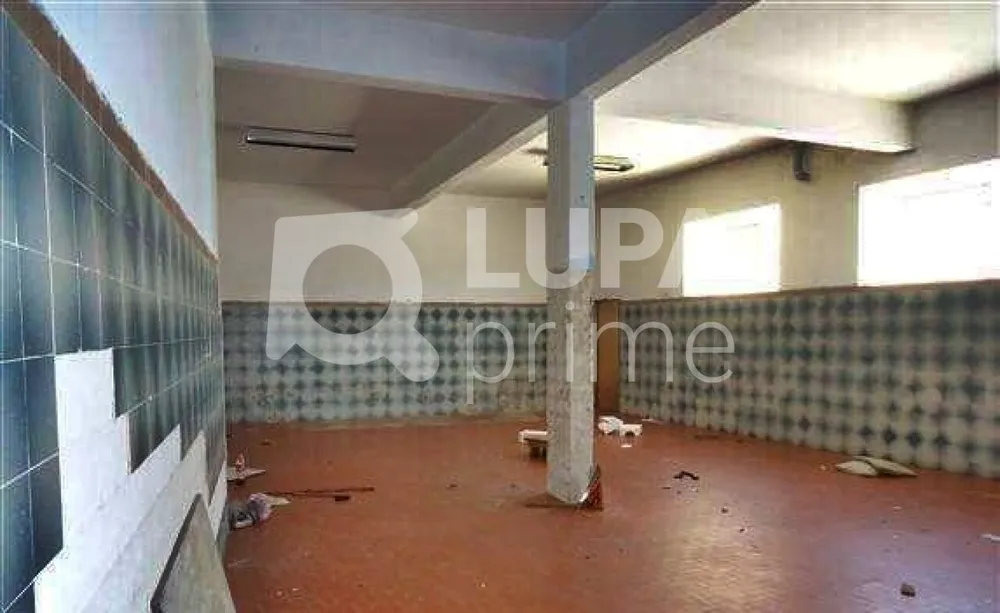 Casa, 4 quartos, 302 m² - Foto 3