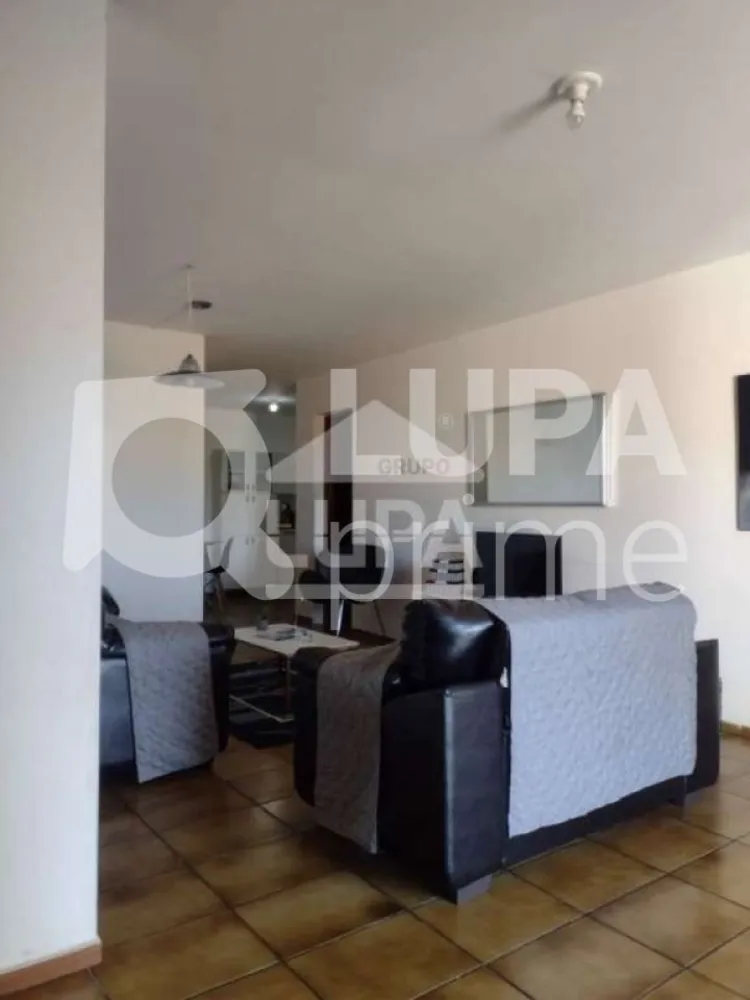 Casa, 4 quartos, 380 m² - Foto 6