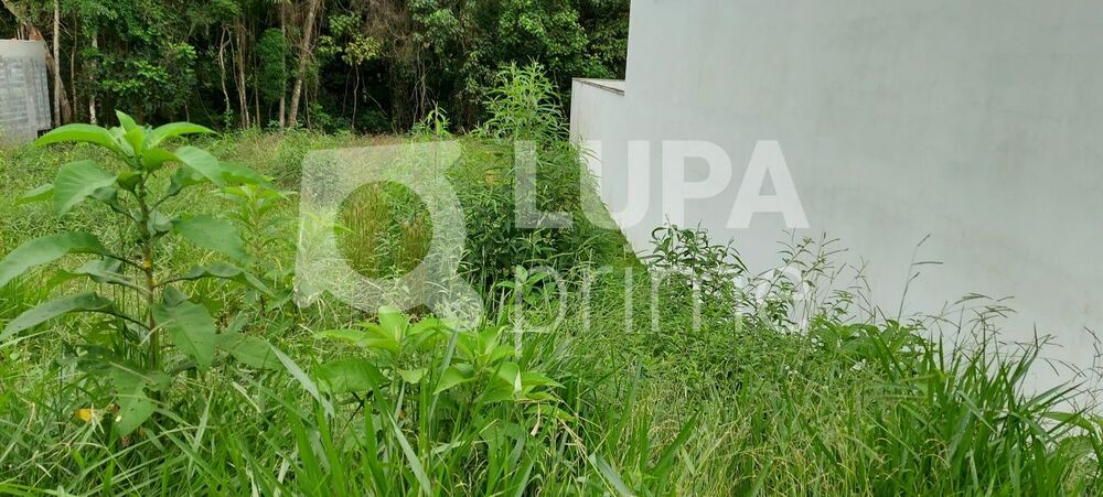 Terreno, 340 m² - Foto 4