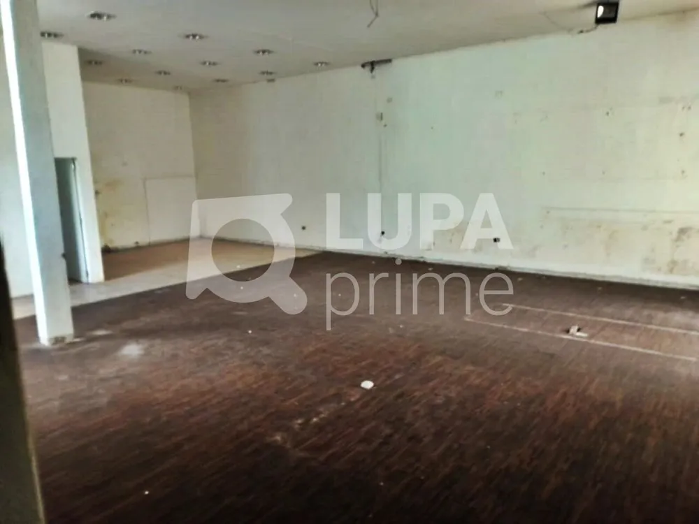 Sala-Conjunto, 516 m² - Foto 4