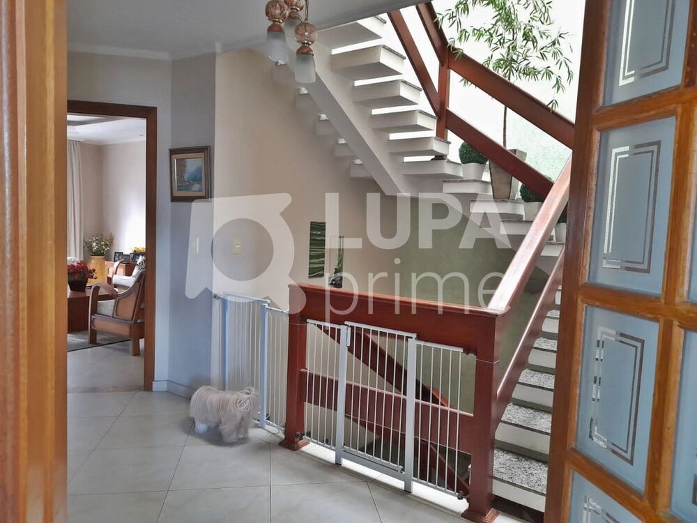 Casa, 4 quartos, 450 m² - Foto 3