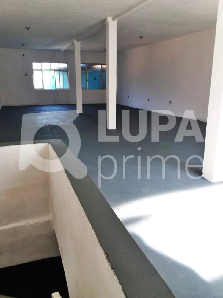Casa, 3 quartos, 257 m² - Foto 13