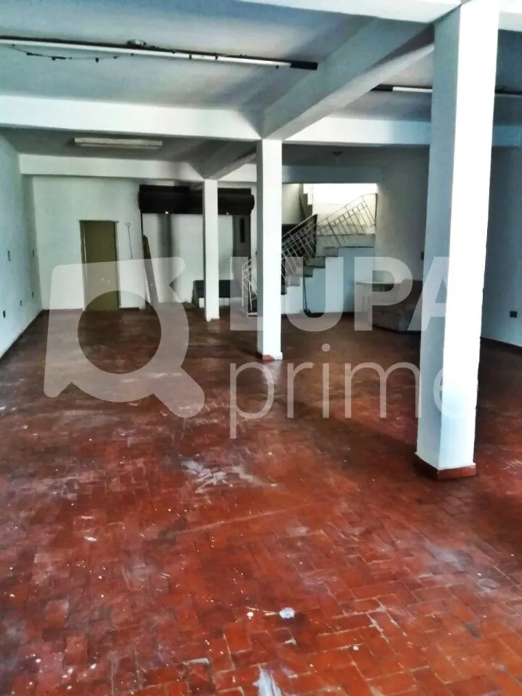 Casa, 3 quartos, 257 m² - Foto 10