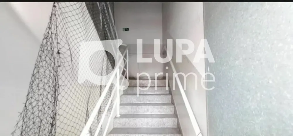 Sala-Conjunto, 250 m² - Foto 3