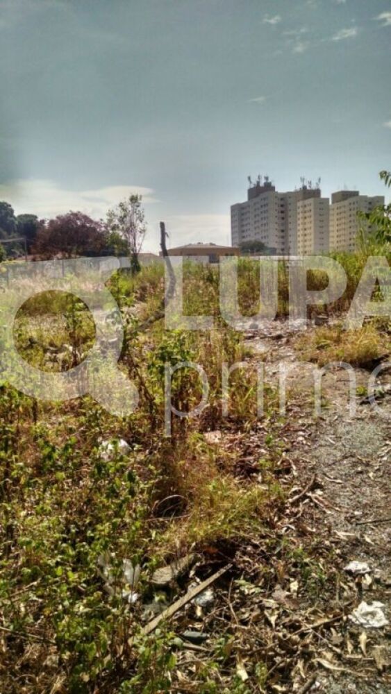 Terreno, 7700 m² - Foto 1