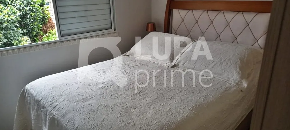 Casa, 3 quartos, 162 m² - Foto 10
