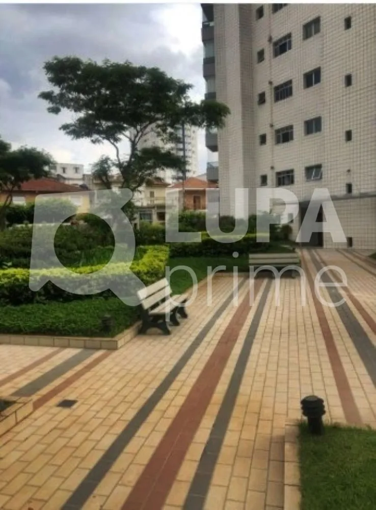Apartamento, 3 quartos, 175 m² - Foto 11