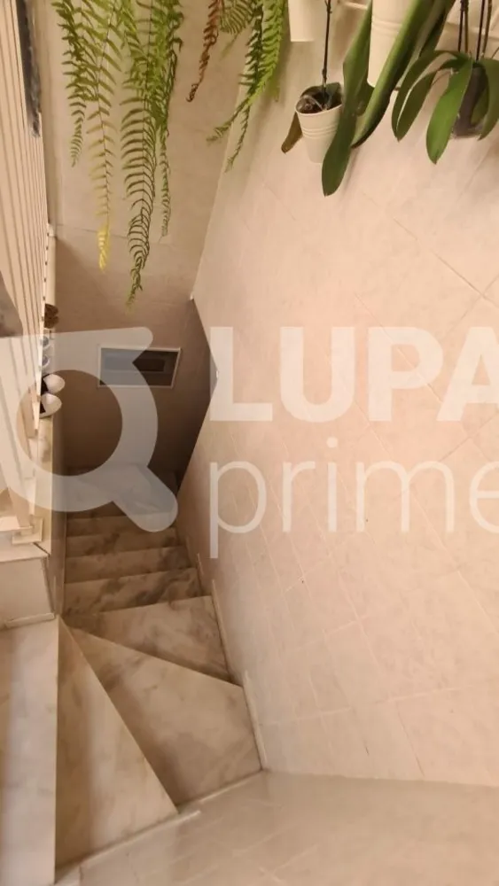 Casa, 3 quartos, 215 m² - Foto 9