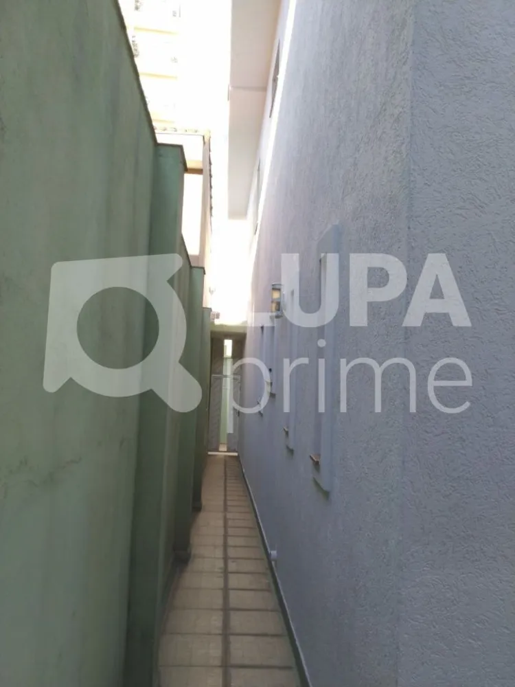 Casa, 3 quartos, 245 m² - Foto 8