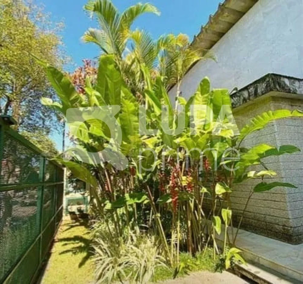 Casa, 3 quartos, 360 m² - Foto 13