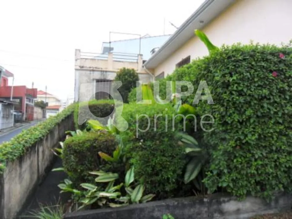 Casa, 3 quartos, 160 m² - Foto 6