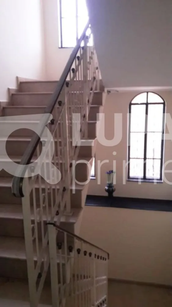 Casa, 4 quartos, 440 m² - Foto 7