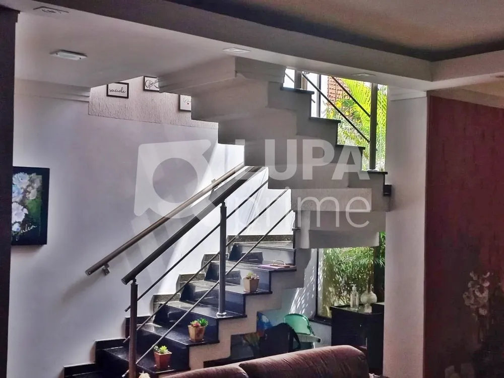 Casa, 4 quartos, 320 m² - Foto 2