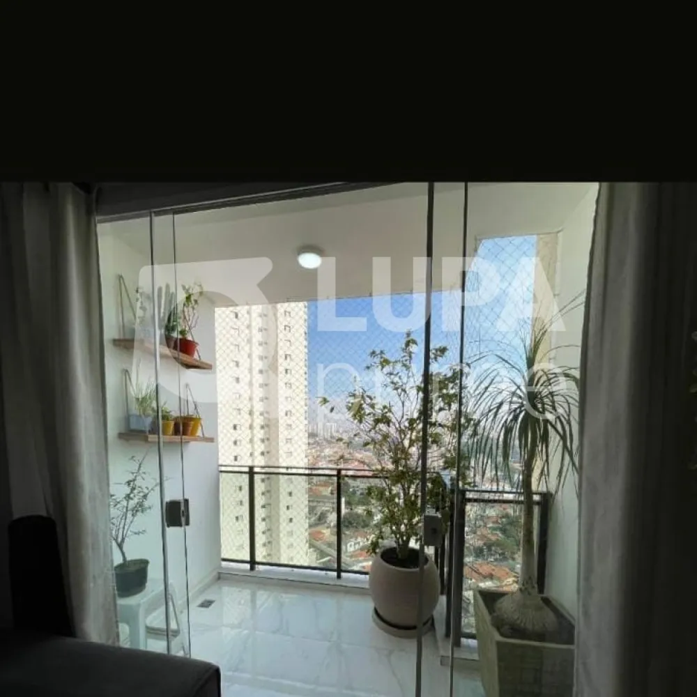 Apartamento, 3 quartos, 81 m² - Foto 11