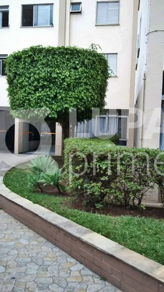 Apartamento, 2 quartos, 61 m² - Foto 6