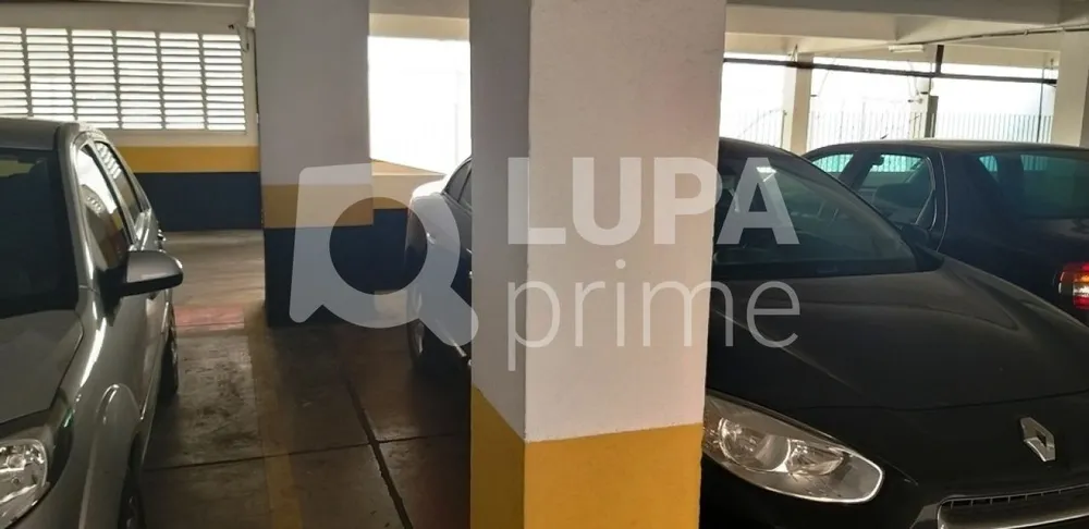 Apartamento, 3 quartos, 120 m² - Foto 14