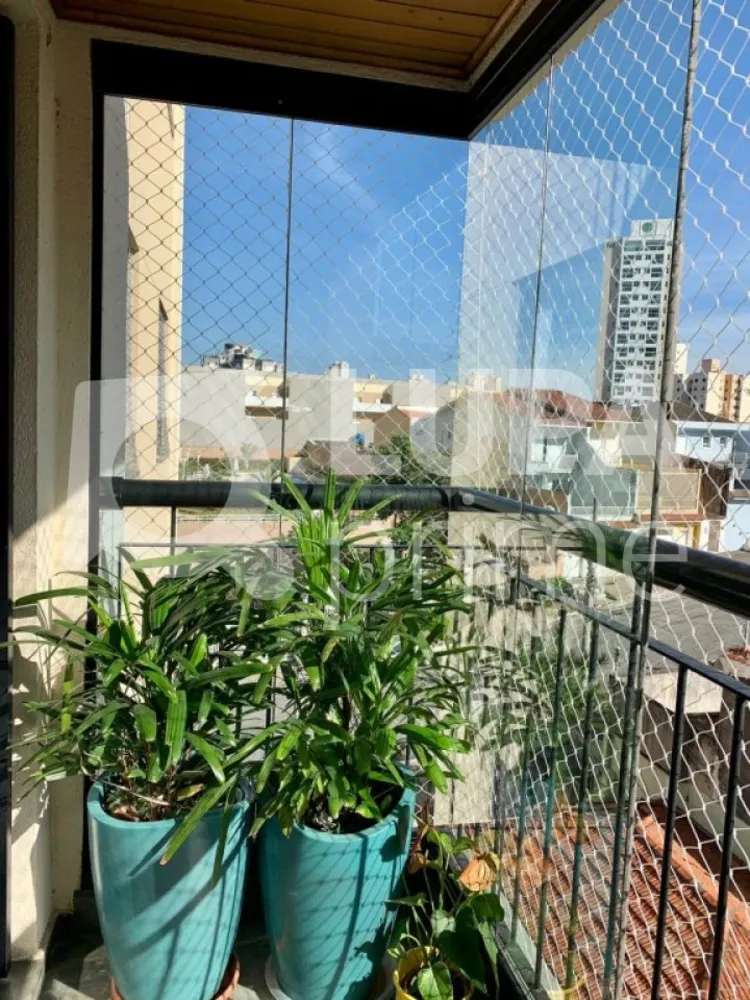 Apartamento, 3 quartos, 75 m² - Foto 3
