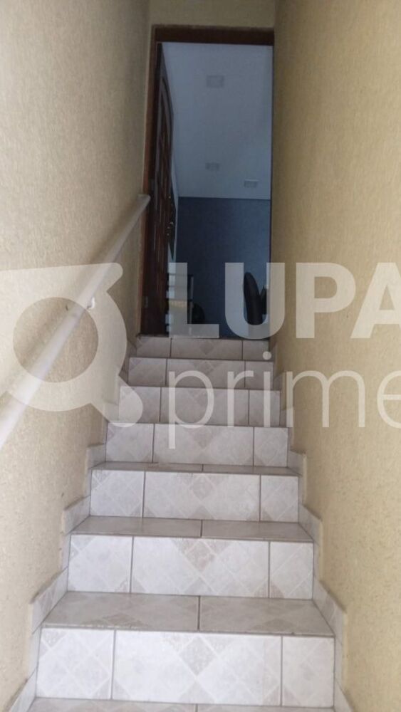 Casa, 4 quartos, 127 m² - Foto 15