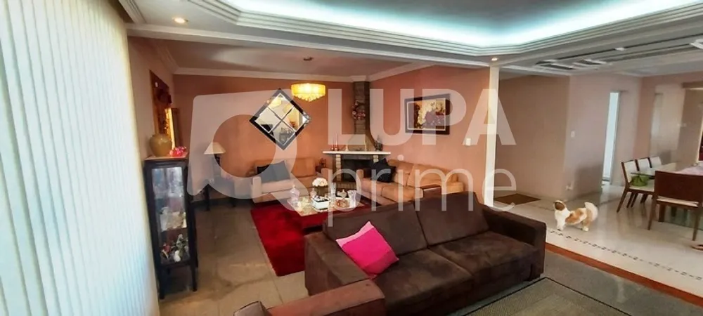 Casa, 3 quartos, 377 m² - Foto 8