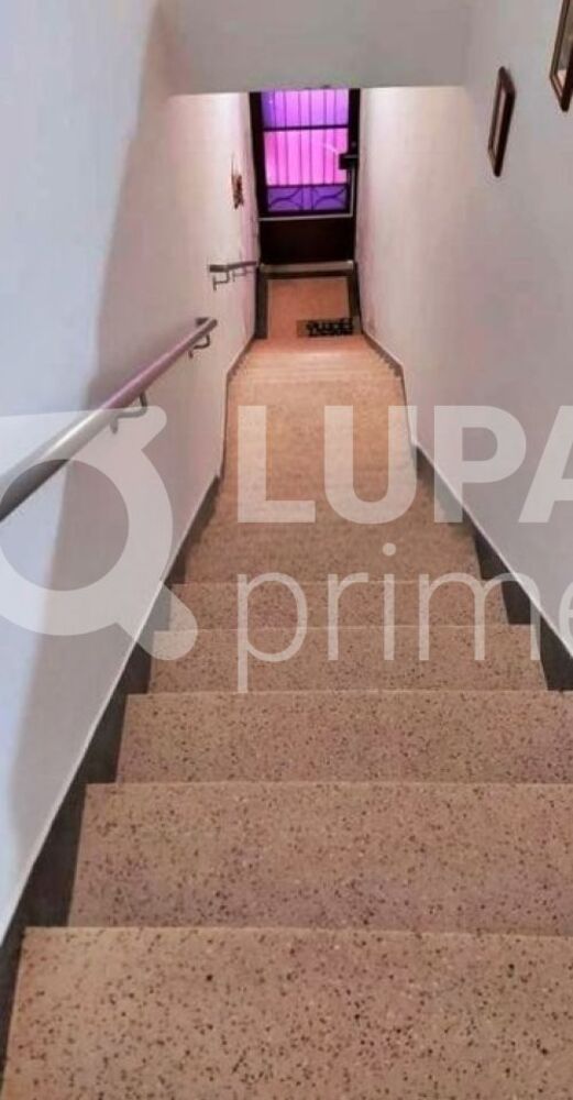 Casa, 5 quartos, 253 m² - Foto 3