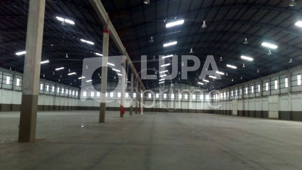 Depósito-Galpão, 10600 m² - Foto 5