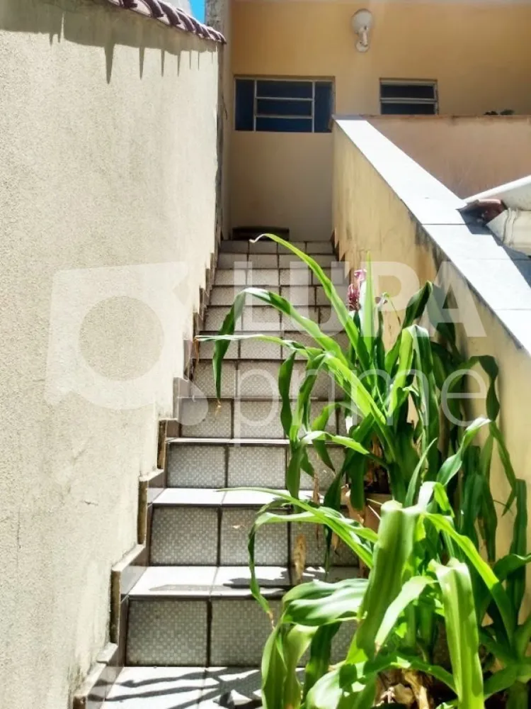 Casa, 4 quartos, 241 m² - Foto 3
