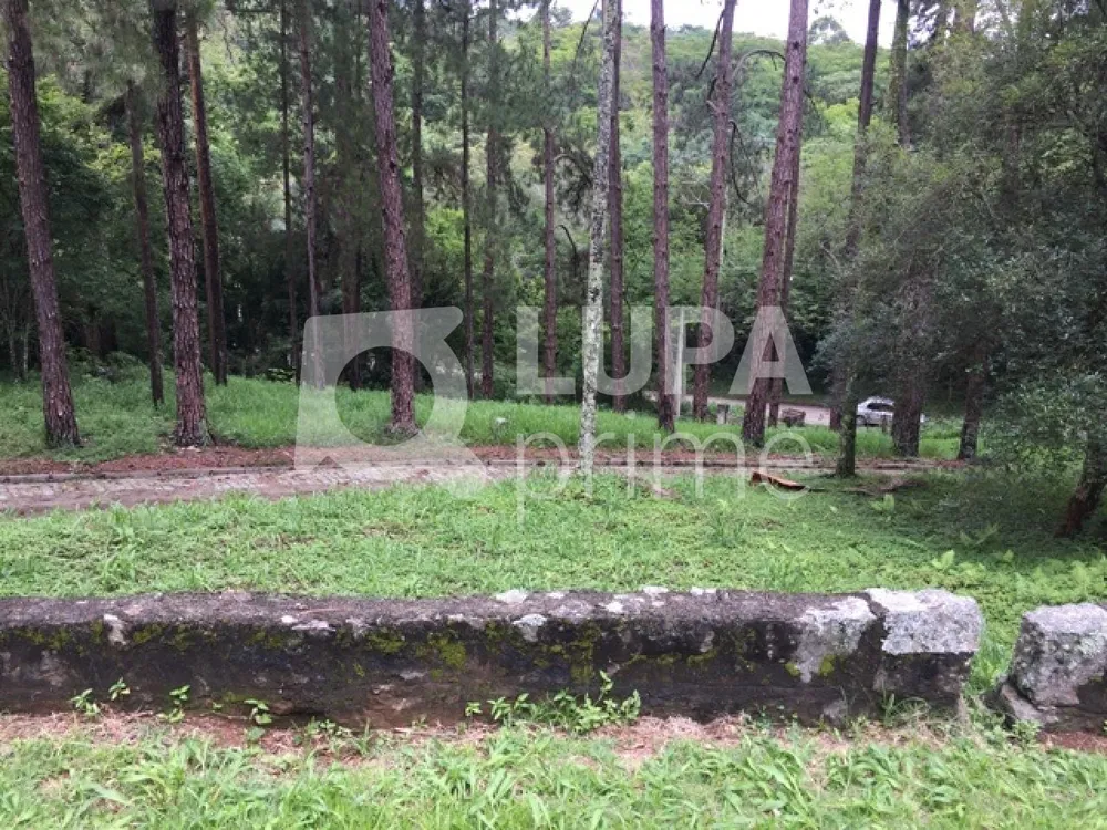 Terreno, 20 hectares - Foto 4