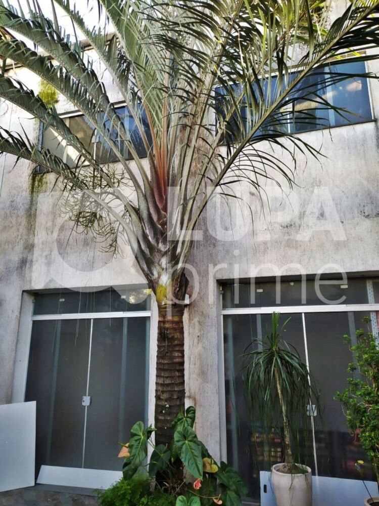 Casa Comercial, 426 m² - Foto 3