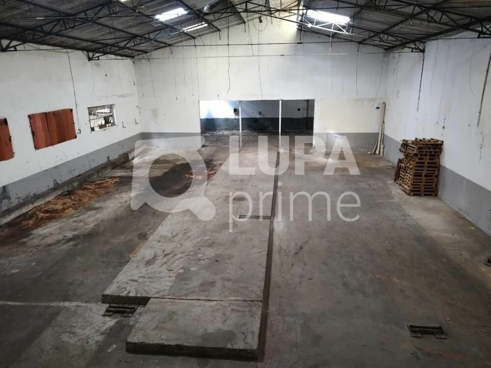 Depósito-Galpão, 1000 m² - Foto 4