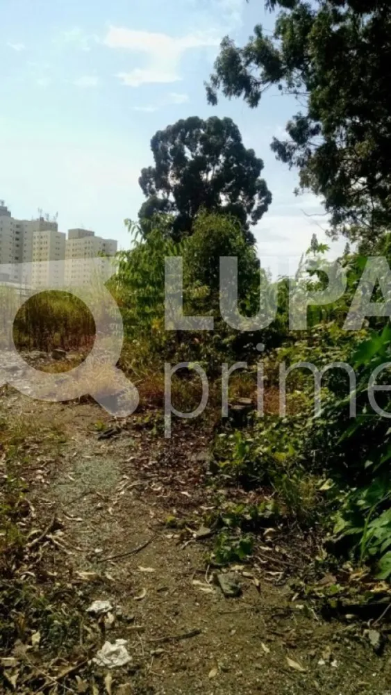 Terreno, 7700 m² - Foto 1