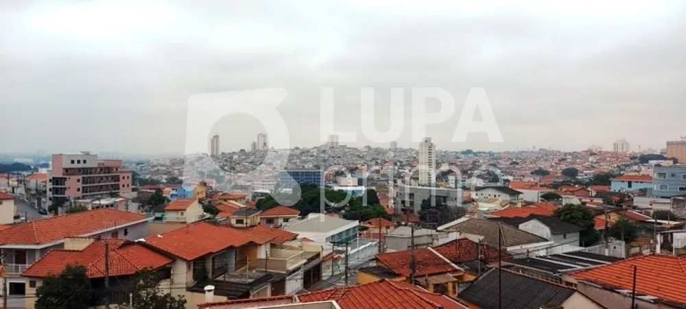 Casa, 3 quartos, 240 m² - Foto 6